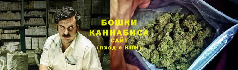 Каннабис White Widow  Макушино 